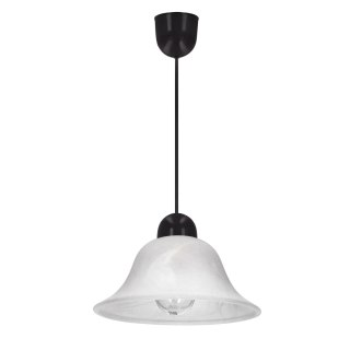 LENIS lampa wisząca czarny 1x60W E27 klosz biały