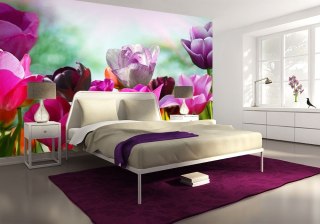 Piękne wiosenne kwiaty - fototapeta