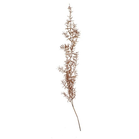Roślina sztuczna - asparagus copper_Aluro Roślina sztuczna - asparagus copper_Aluro