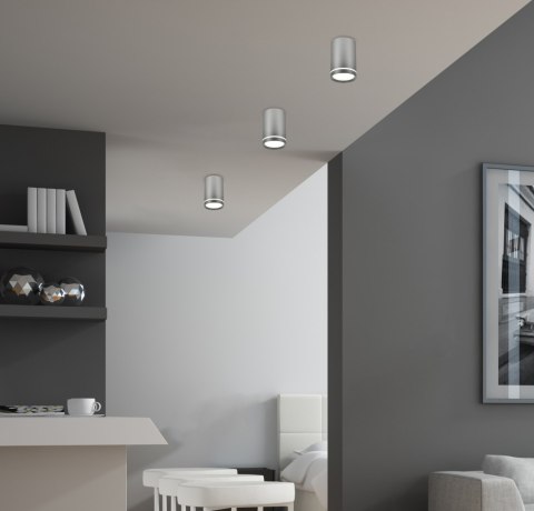 TUBA LAMPA SUFITOWA 1X15W GU10 6,8/10 SREBRNY MATOWY TUBA LAMPA SUFITOWA 1X15W GU10 6,8/10 SREBRNY MATOWY