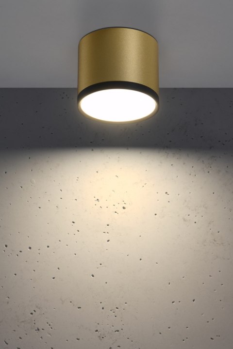 TUBA LAMPA SUFITOWA 9W LED 8,8/7,5 CZARNY+ZŁOTY MAT 4000K TUBA LAMPA SUFITOWA 9W LED 8,8/7,5 CZARNY+ZŁOTY MAT 4000K